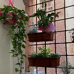 Appartamento The Clock Tower *