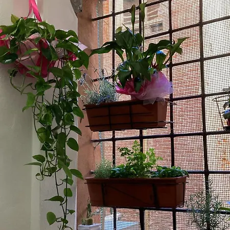 Apartment The Clock Tower *